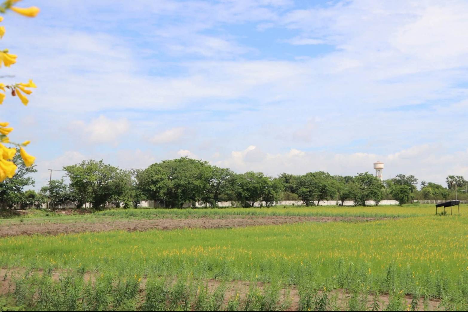 title - สำนักแผนงานและโครงการพิเศษ กระทรวงเกษตรและสหกรณ์ ประชุมหารือการจัดโครงการจิตอาสาพัฒนาด้านการเกษตร กระทรวงเกษตรและสหกรณ์ ณ ศูนย์ส่งเสริมและพัฒนาอาชีพเสริมนอกภาคการเกษตร